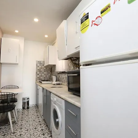 Central Apartment With Golden Horn View In Beyoglu *